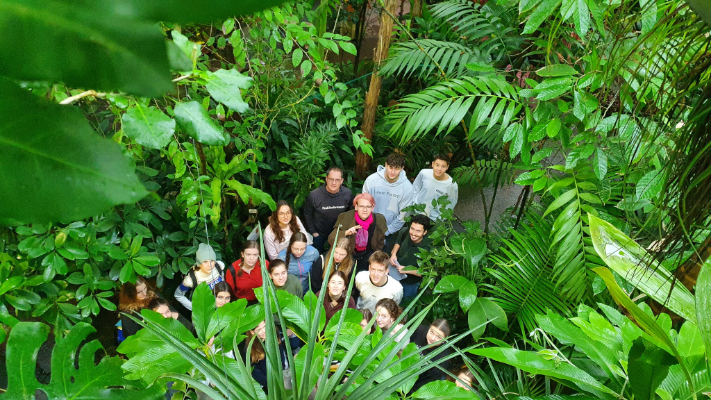 Besuch der Tropenhäuser des Botanischen Gartens