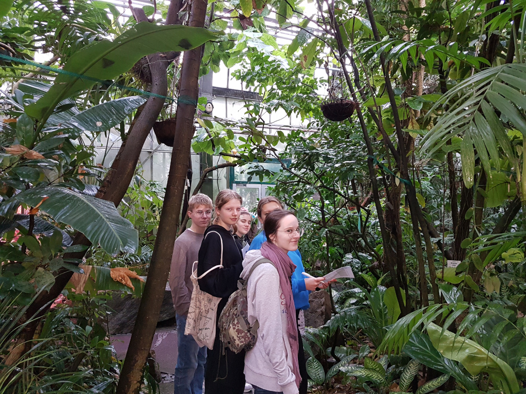 Besuch der Tropenhäuser des Botanischen Gartens