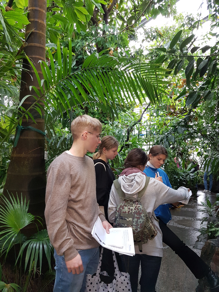 Besuch der Tropenhäuser des Botanischen Gartens