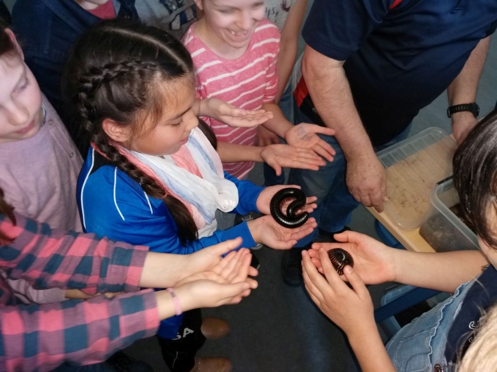 Das "rollende Insektarium" macht Halt am ASG