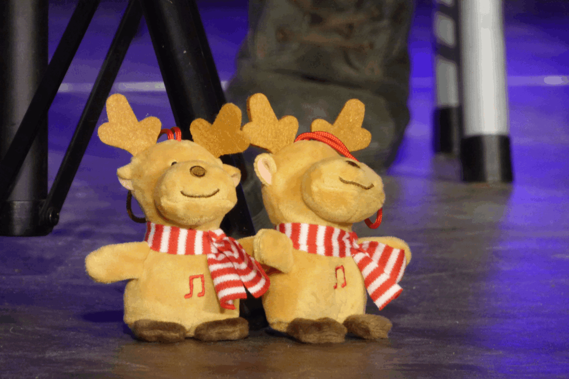 Einstimmung auf das Fest - Weihnachtskonzert am ASG