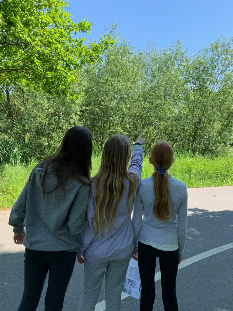 Die Stunde der Gartenv&ouml;gel 2024