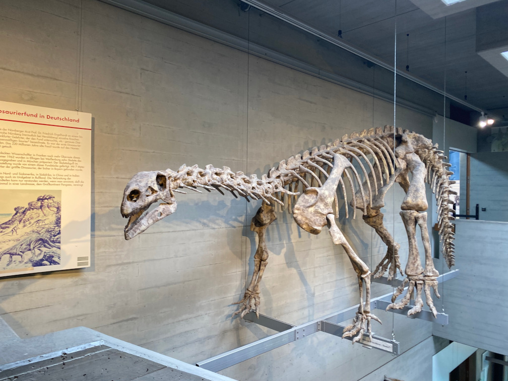 Geologische Entdeckungsreise ins Naturhistorische Museum N&uuml;rnberg