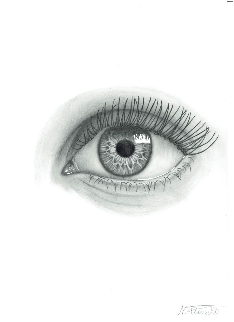 Das P-Seminar &bdquo;AUGENblick&ldquo; und die &bdquo;EinDollarBrille&ldquo;.