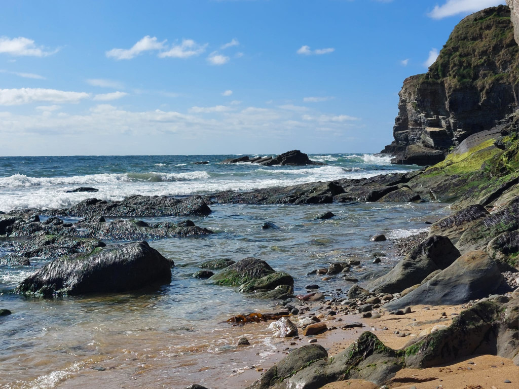 Gr&uuml;&szlig;e von der Gr&uuml;nen Insel! &ndash; ASG Sch&uuml;ler in Cork