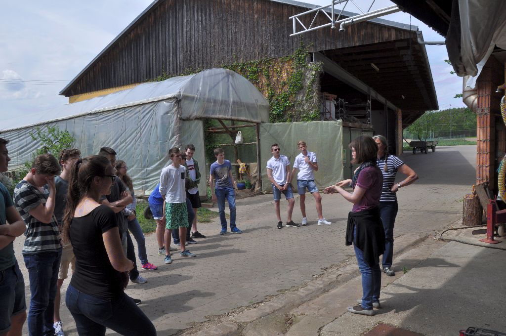 Auf dem K&uuml;rbishof