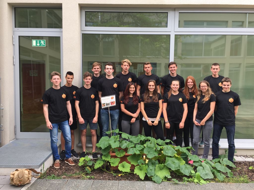 Die K&uuml;rbisse sind los!