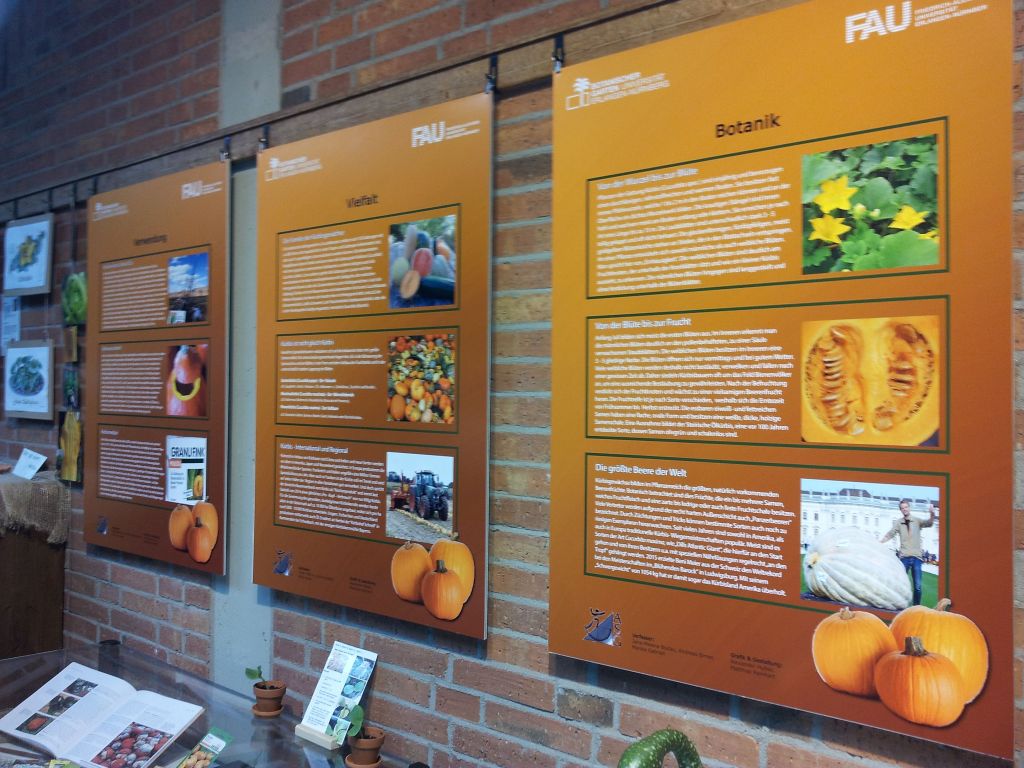 Die K&uuml;rbisse sind los!