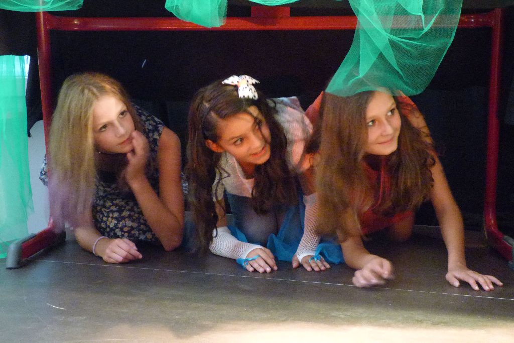 Die Abenteuer der au&szlig;ergew&ouml;hnlichen Kinder