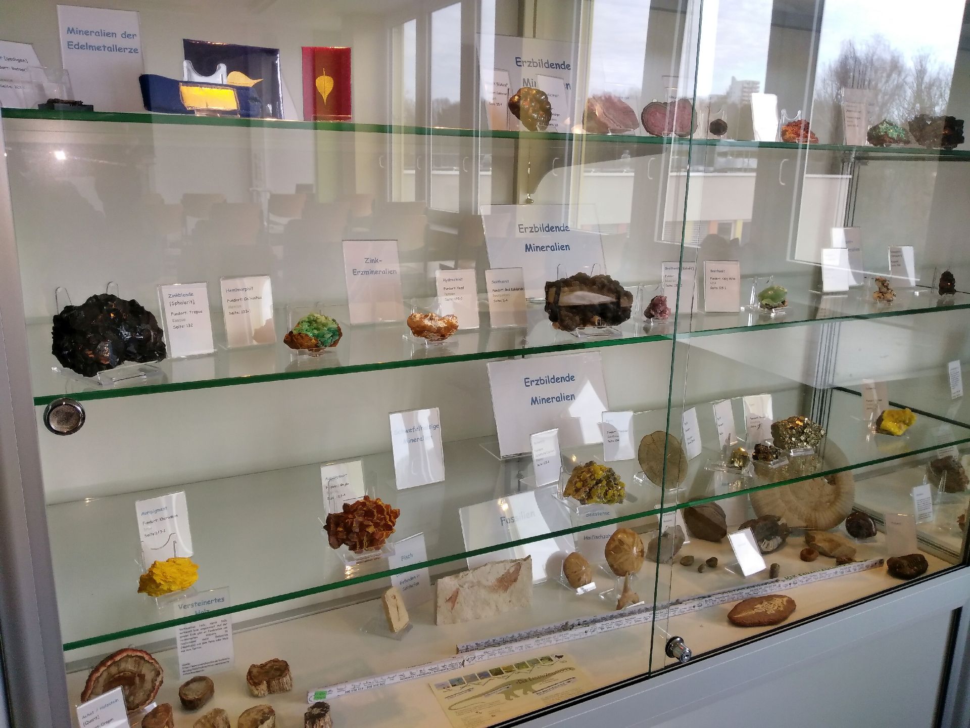 Mineraliensammlung feierlich er&ouml;ffnet