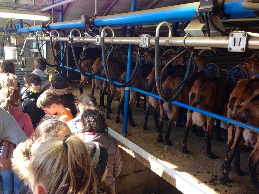 Gr&uuml;&szlig;e von der C&ocirc;te d'Azur