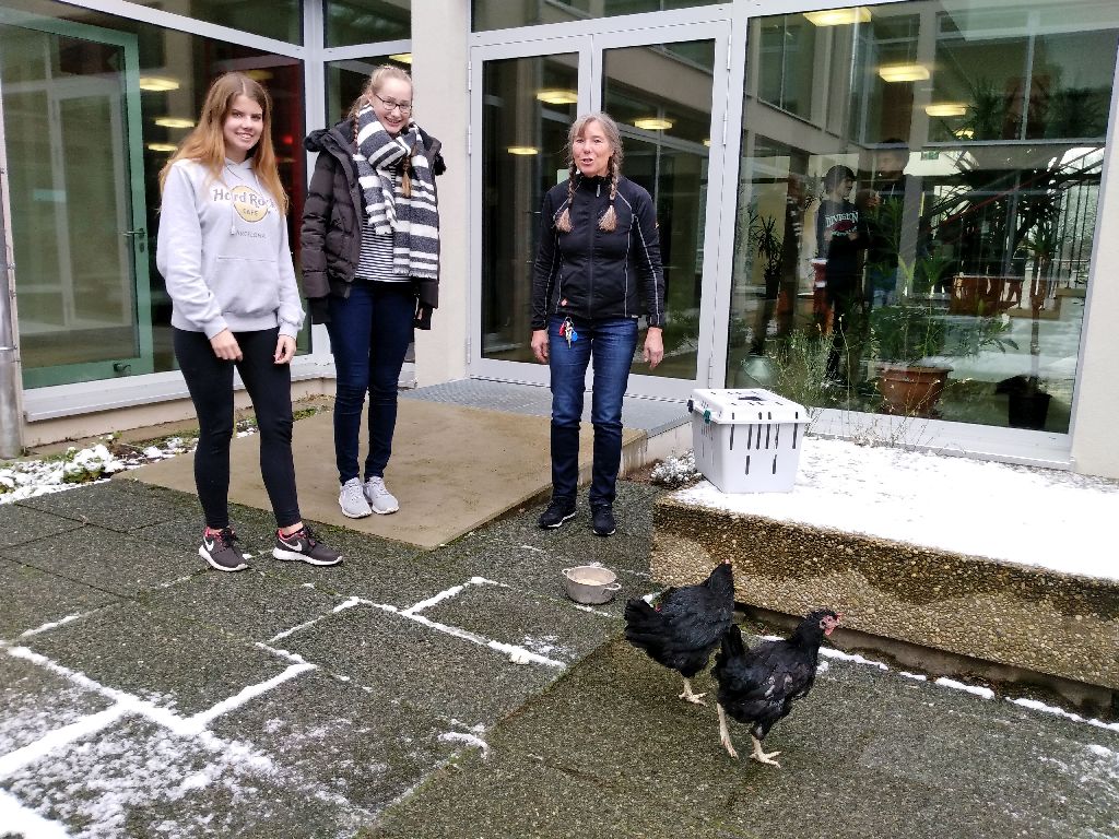 Waltraud, Clothilde ... und Esmeralda