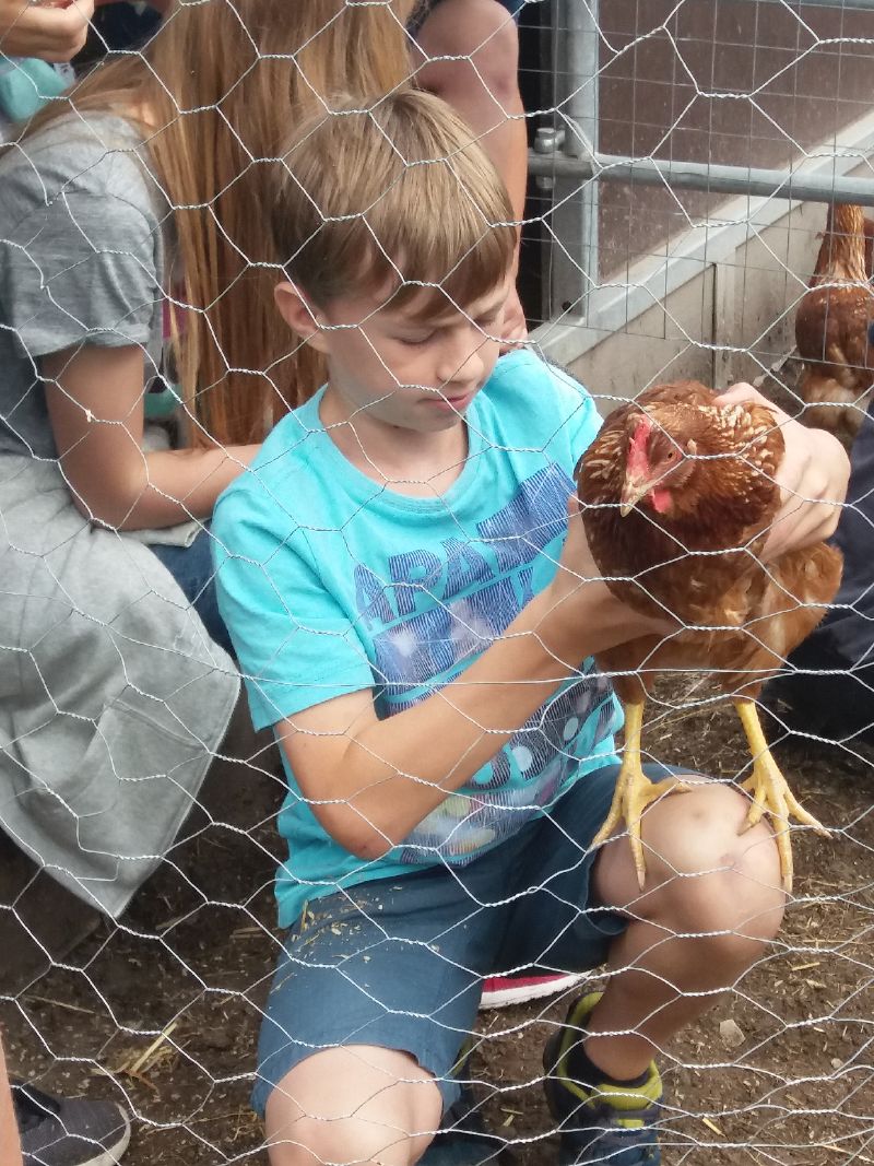 Wo kommen unsere Lebensmittel her?