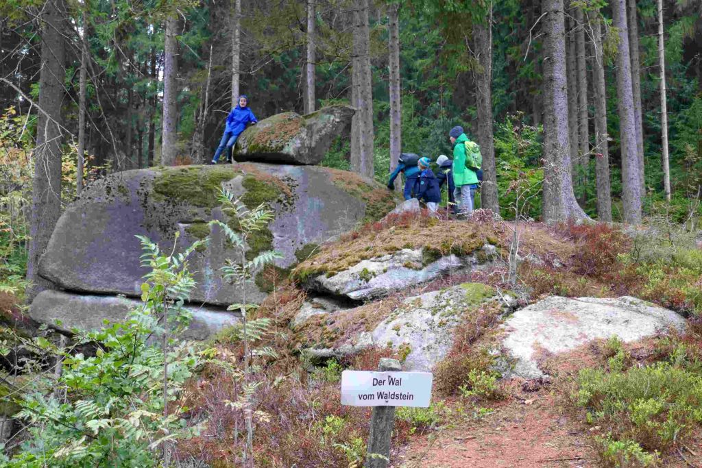 Klasse 5c im Schullandheim