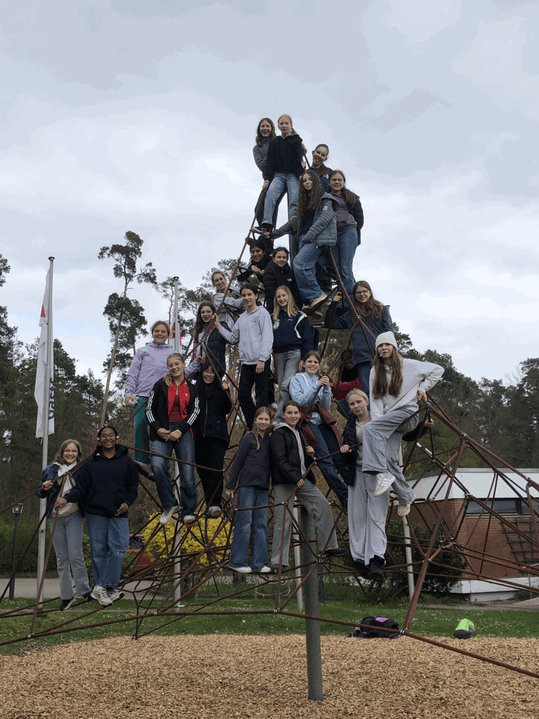 Alltagskompetente Siebtkl&auml;ssler