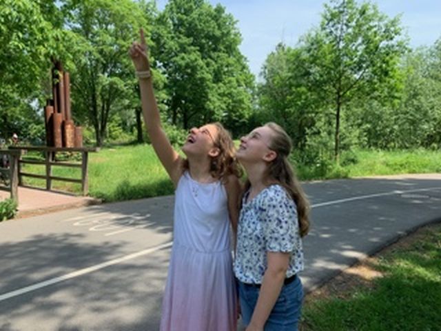 Die 6c hat einen Vogel...