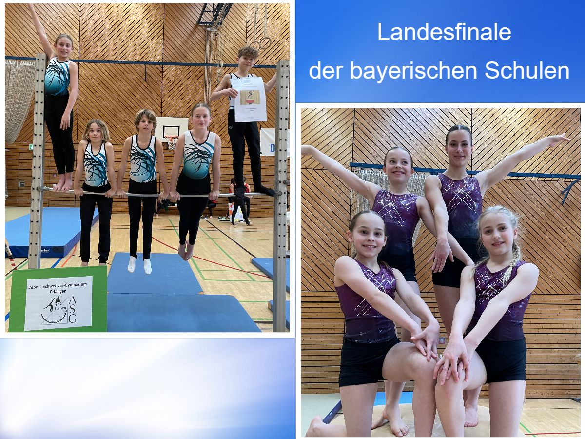Erfolgreiche Turnerinnen und Turner beim Landesfinale in Schweinfurt