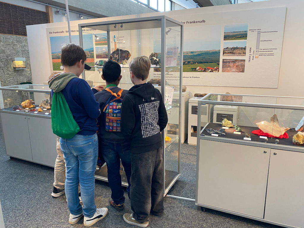 Geologische Entdeckungsreise ins Naturhistorische Museum N&uuml;rnberg