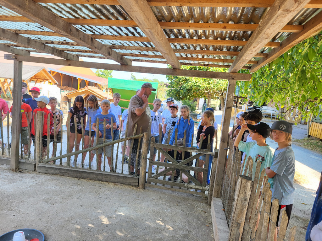 Landwirtschaft regional und wichtig!