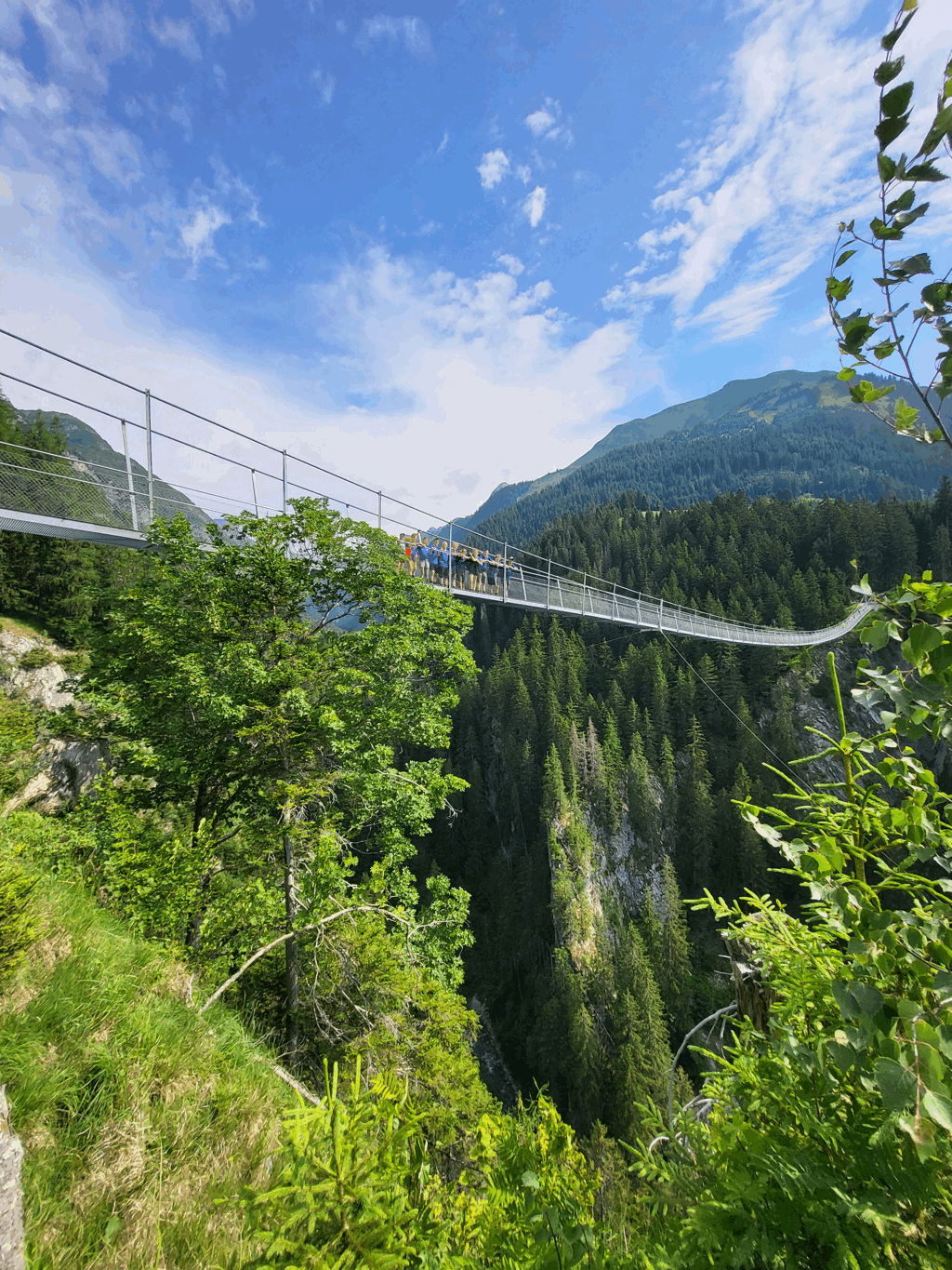 Leistungsfach Sport meldet sich vom Alpencross zur&uuml;ck