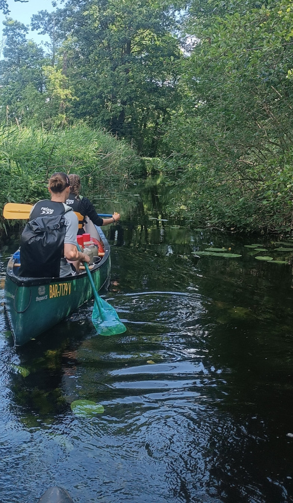 Mit dem Paddelboot &uuml;ber die Mecklenburgische Seenplatte