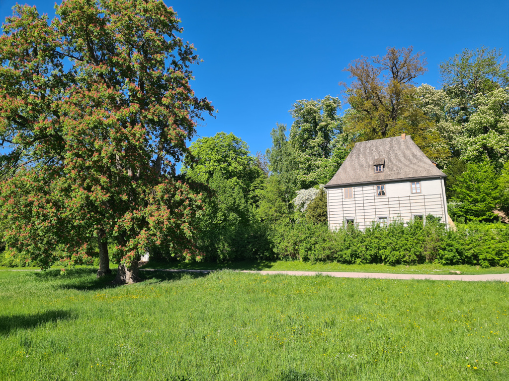 Q 12 auf den Spuren von Goethe, Schiller und Bauhaus