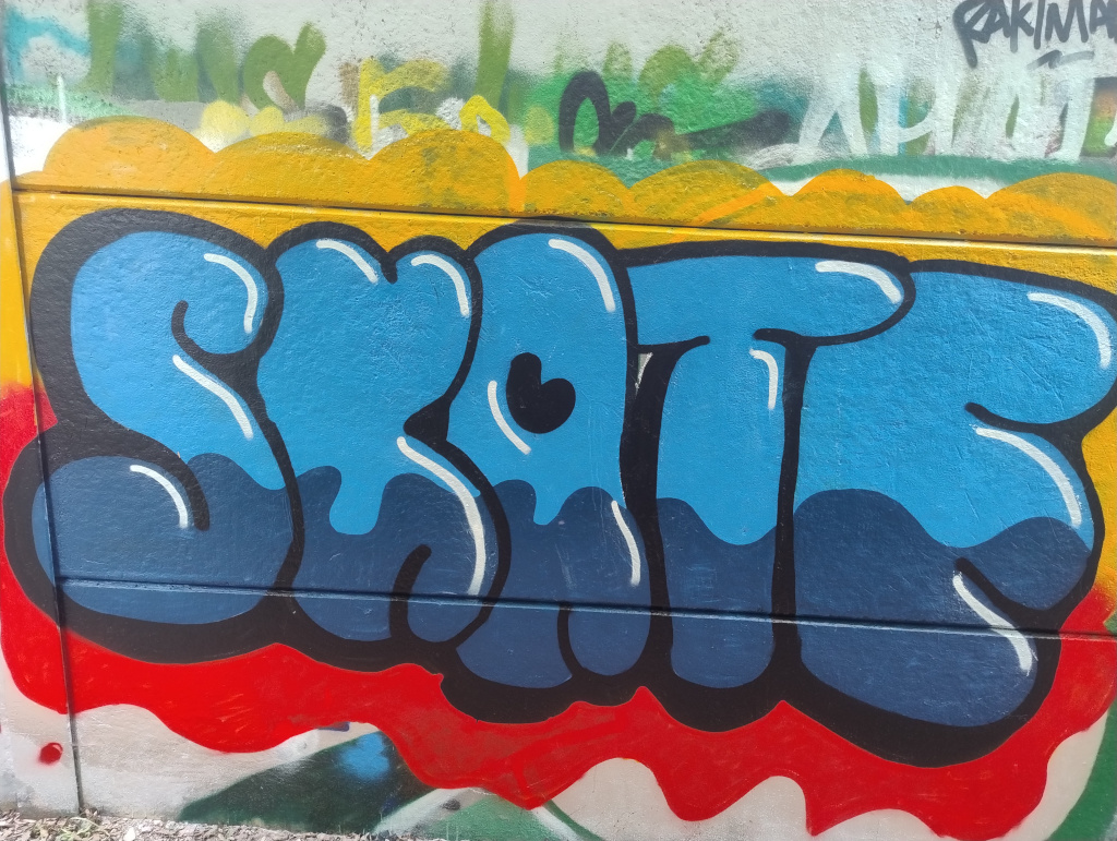Spr&uuml;haktion des P-Seminars Legales Graffiti
