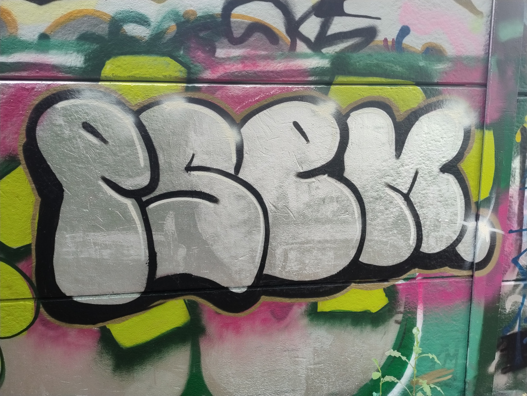 Spr&uuml;haktion des P-Seminars Legales Graffiti