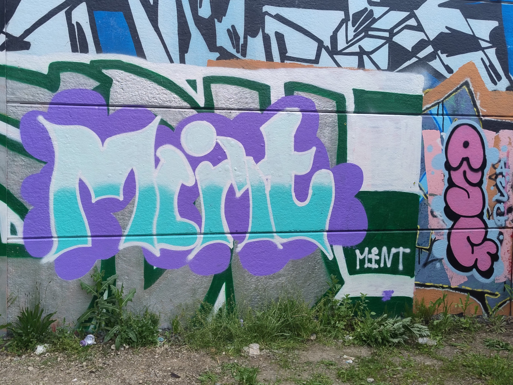 Spr&uuml;haktion des P-Seminars Legales Graffiti