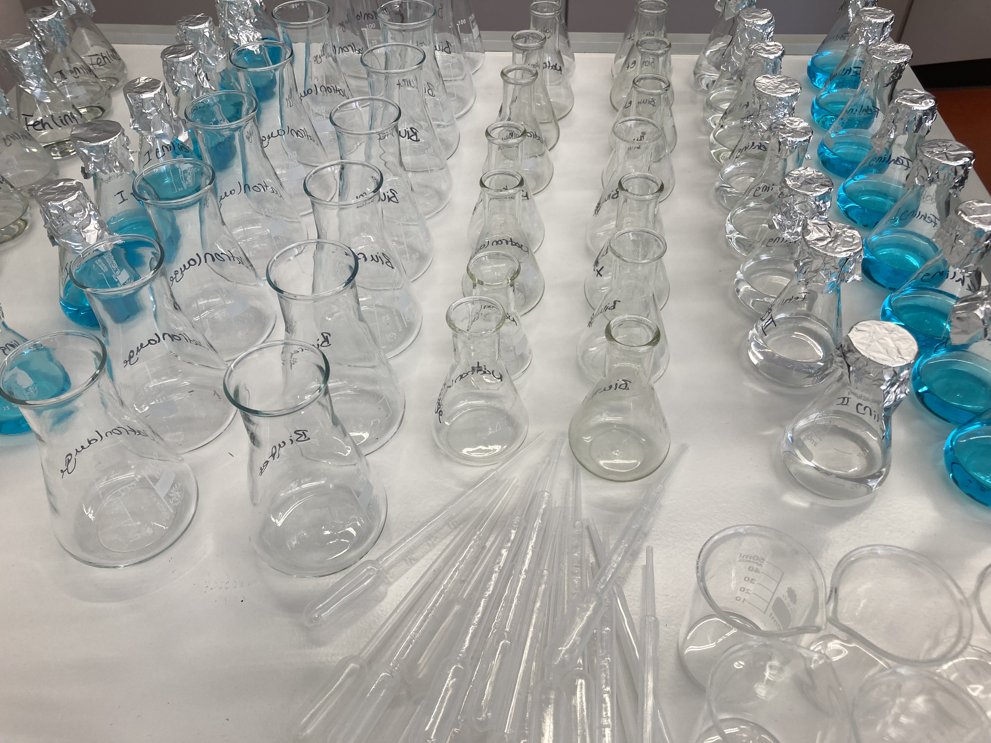 Studientag 2026 am ASG