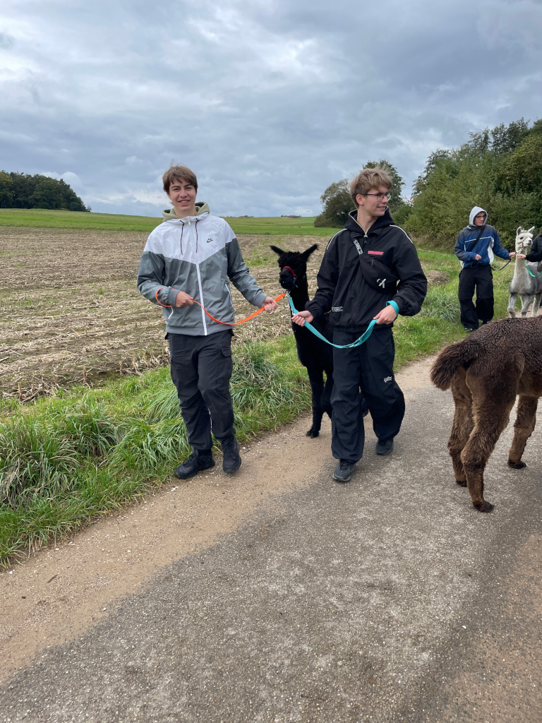 Therapietiere hautnah erleben