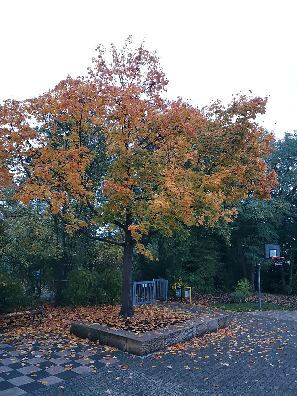 ... und malt die Bl&auml;tter an